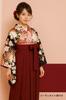 [Asakusa Kimono Markt] Einfacher Damen-Hakama für die Abschlussfeier [5 Farben] (Hakama, Abschlussfeier, Kimono, Schlichter Hakama) (Burgund, M