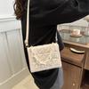 Women's foreign style simple and fashionable Korean version chain handbag 2025 This you see versatile ins shoulder messenger bag women