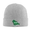 Saudi Arabia Flag Bonnet Hats  Cool Knitted Hat For Women Unisex Winter Warm  Skullies Beanies Caps