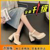 French temperament niche gentle patent leather high-heeled single shoes 2025 new Japanese retro Mary Jane women's shoes