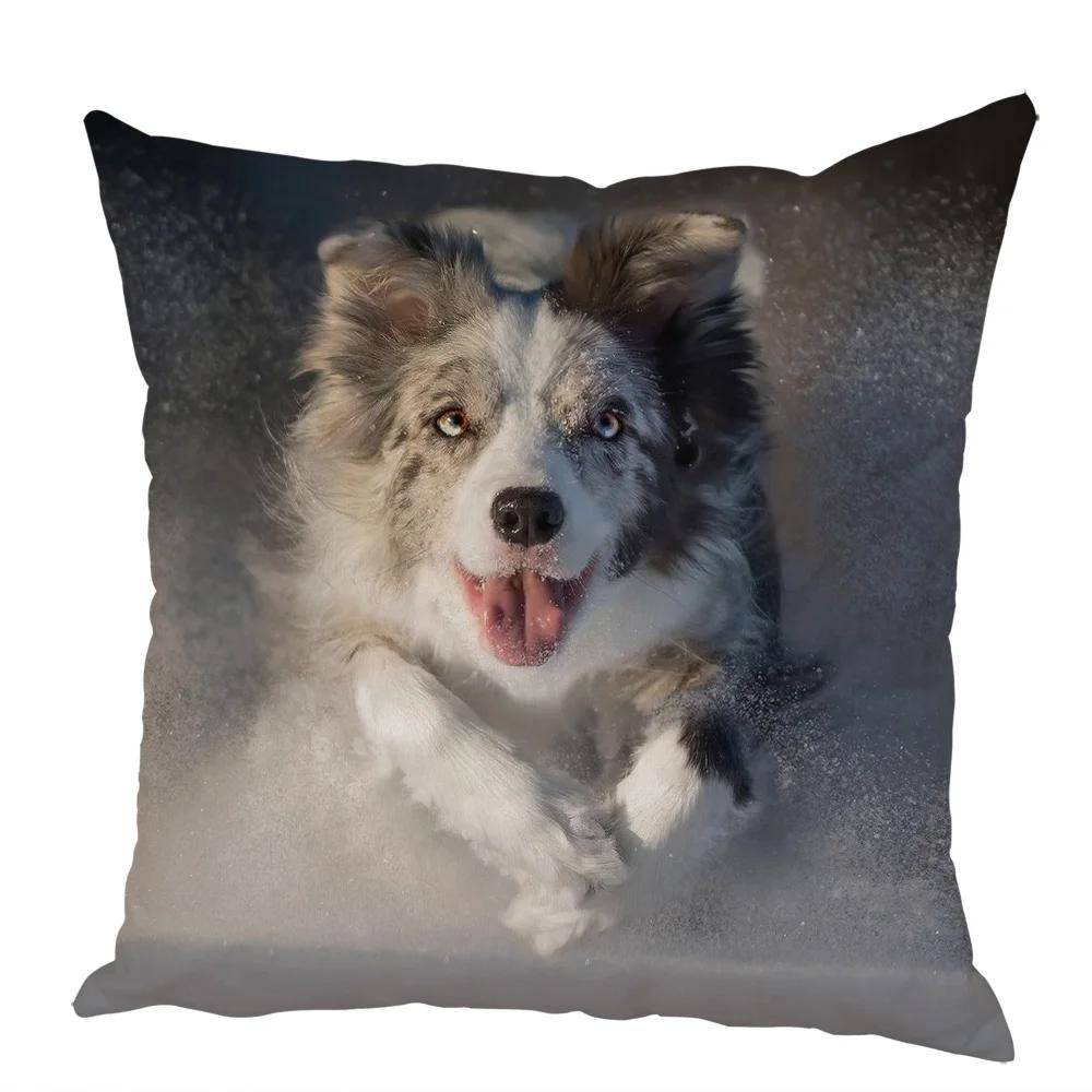 Cute Australian Shepherd Dog Pillow Case Peach Skin Decor Pet Animal Cushion Cover Thorw Pillowcase for Sofa Home Car 45x45cm