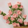 300 Pieces Pipe Cleaner Craft Set,Chenille Stem Pipe Cleaners for DIY Lily of bell Craft Projects and Decorations