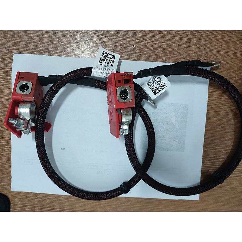 61128795489 Positive Battery Fuse Cable for BMW X7 AWD G07 Diesel Mild Hybrid or Normal Petrol SUV 2019-2022 12V 61128796040