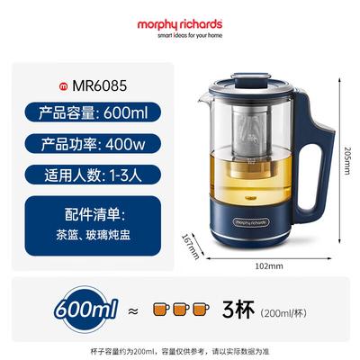 Bouilloire Santé Multifonction Portable Morphy Richards 0,6 L