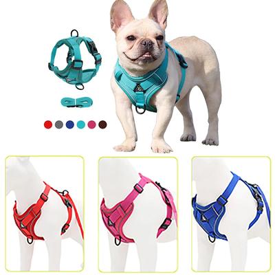 Yansıtıcı Evcil Hayvan Eğitimi Yürüyüş Tasması Tasma Ayarlanabilir Yavru Köpek Tasması Yeleği Küçük Köpekler Chihuahua Yorkies Göğüs Kayışı