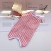 Pets Can Wear Cat Sterilization Suits Dog and Cat Clothes and Postoperative Dog Clothes Throughout The Four Seasons