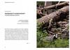 Borsuk. władca ciemności. biografia nieautoryzowana