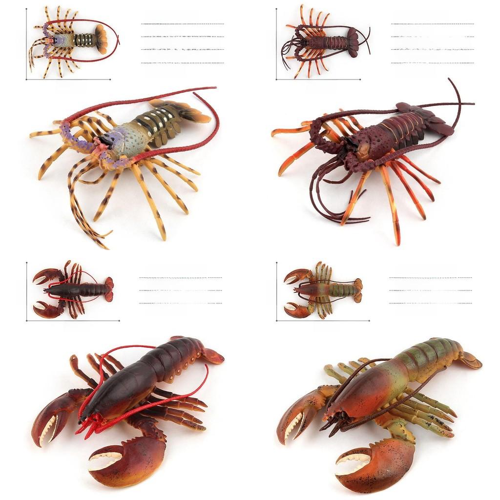 Ocean Animal Pvc Models With Authentic Lobster Designs For Marine Enthusiasts