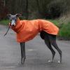 Spring and Autumn Outing Breathable and Comfortable Dobbin Dog Clothes Casual Warm Pet Raincoat Leisure Dog Cloak Raincoat