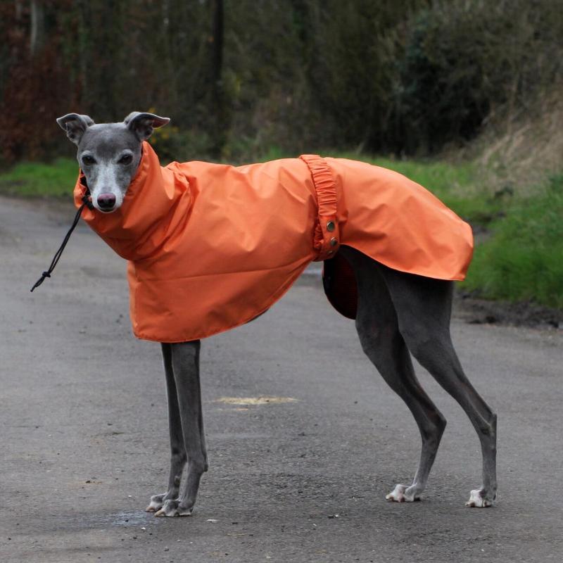 Spring and Autumn Outing Breathable and Comfortable Dobbin Dog Clothes Casual Warm Pet Raincoat Leisure Dog Cloak Raincoat