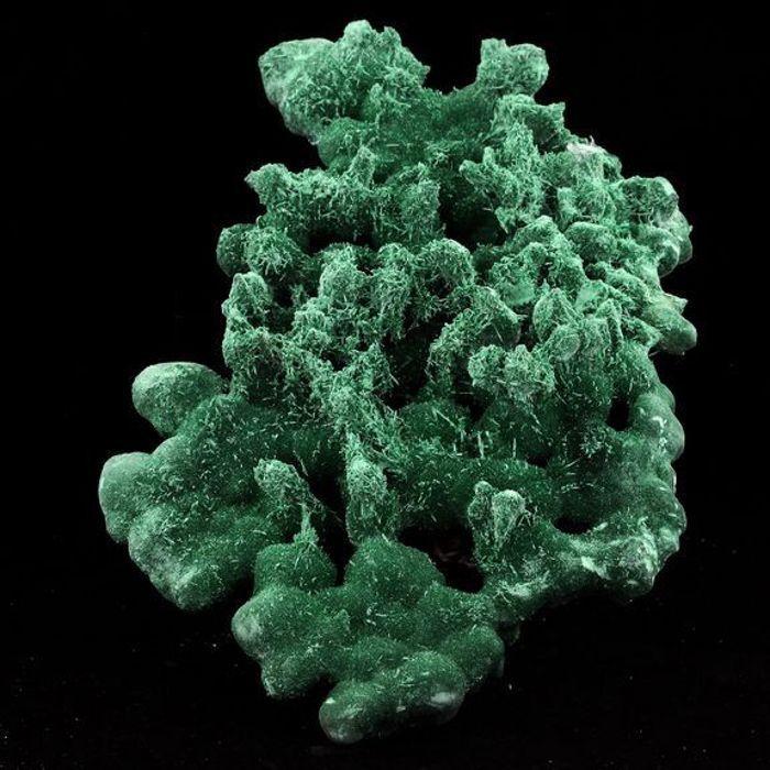 Pierres et Minéraux. Malachite. 2537.0 ct. Milpillas Mine, Sonora, Mexique.