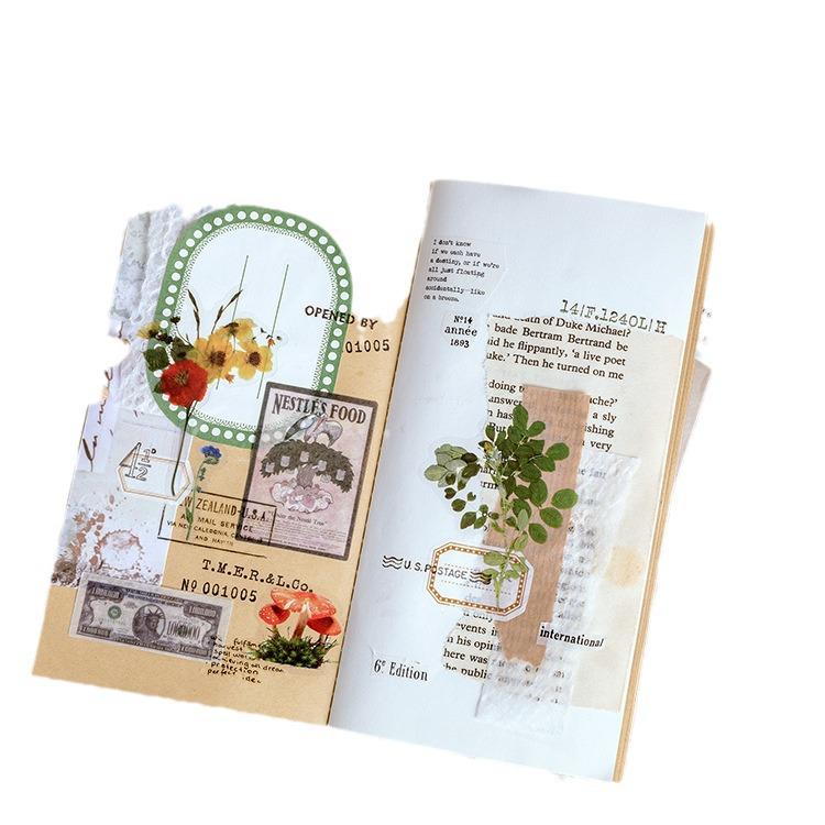 MòMò PET Sticker Pack: Jenny's Leisure Time Series - Creative Plant Journaling DIY Decorative Stickers (8 Styles)