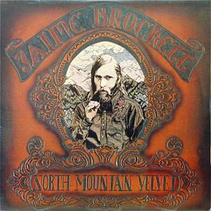 LP Record JAIME BROCKETT North Mountain Velvet AD1028 Adelphi Records 1977 US CountryFolk Used