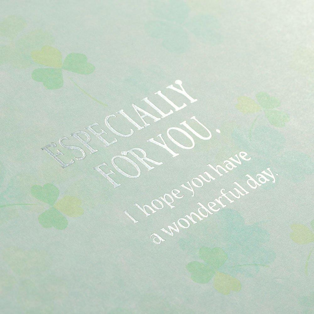 Midori Shikishi Colored Shikishi Bifold Clover Pattern 33140006