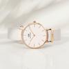 DANIEL WELLINGTON Watches for Women, Watches, Quartz Movement, Canvas Nylon Fabric Strap, White Dial, Women's Watch, 30 Meters Waterproof DW00100313-3