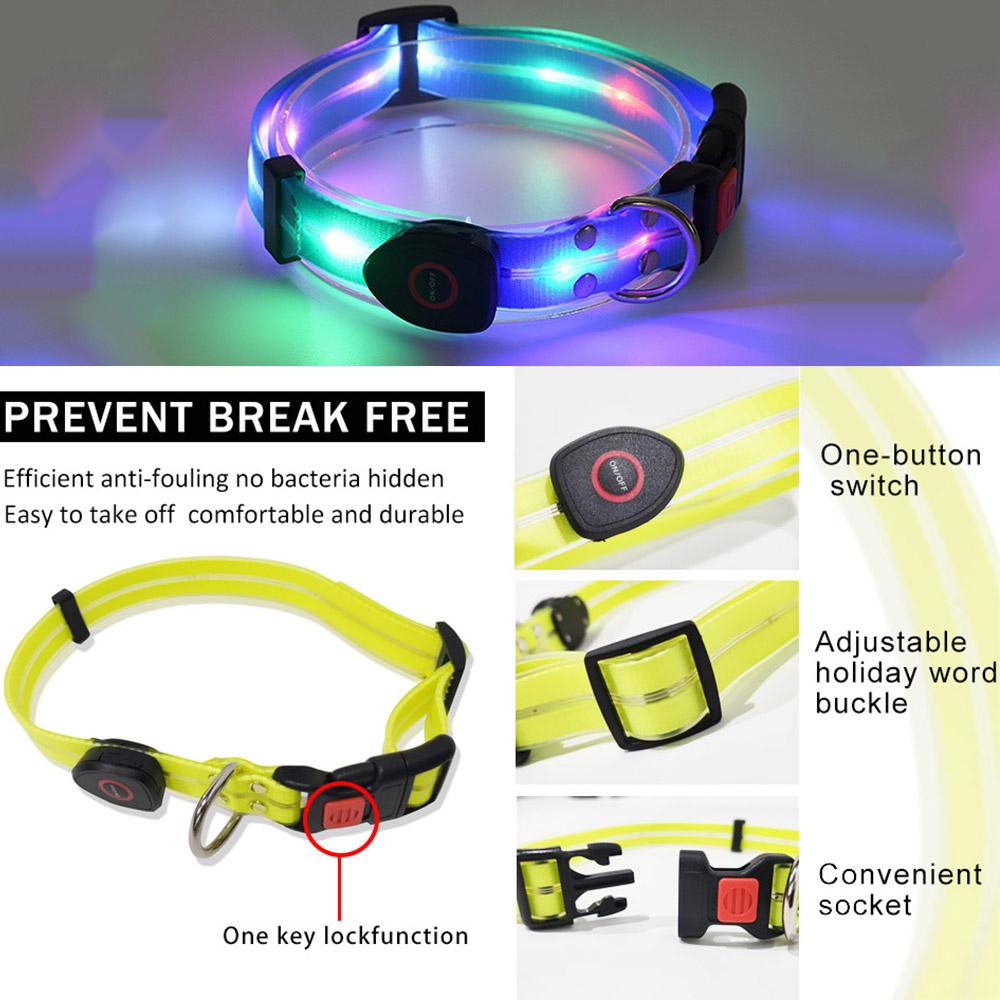 LED svítící nastavitelný obojek pro psa vhodný pro noční procházky, svítící, modrý