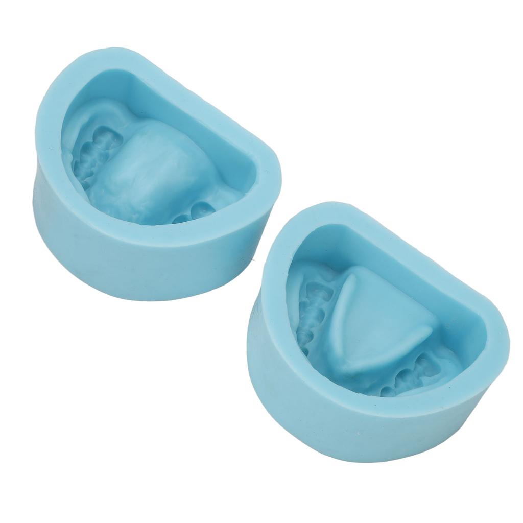 2pcs Dental Material Female Mold Full Mouth Soft Silicone Edentulous Female Plaster Model