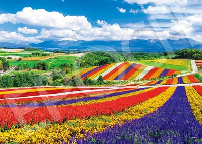 Epoch 2000 Super Small Piece Jigsaw Puzzle: Japanese Landscape: Rainbow-Colored Hills of the Four Seasons - Hokkaido (38 X 53 Cm) 54-240, Includes