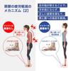 BMZ Magic Carbon Insole Sizes for and Baseball Ashi-Tre (Synthetic Leather, 26.5-27.5) Running, Golf,