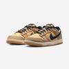 Nike Dunk Low Retro SE [II7078-201]