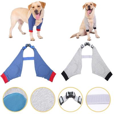 Köpek – Köpek bakım ürünleri
