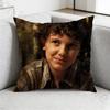 MMillie Brown Stranger Pillow Case Square DoubleSided Printing Short Plush Sofa Cushion Cover Bedroom Bedside Pillow