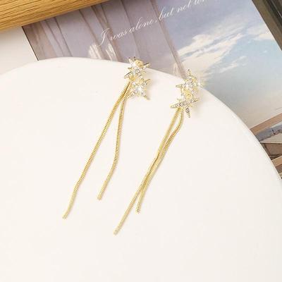 Elegante lange Quasten-Ohrringe aus Silbernadeln: Hochwertiger, exquisiter Schmuck für Damen im neuen, leichten Luxus-Star-Stil.