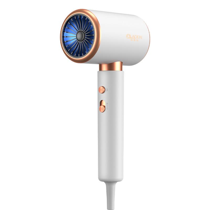Hair Salon Special Hair Dryer Household High Wind Power Barber Shop Power Negative Ion Hair Care Quick Drying Hair Dryer