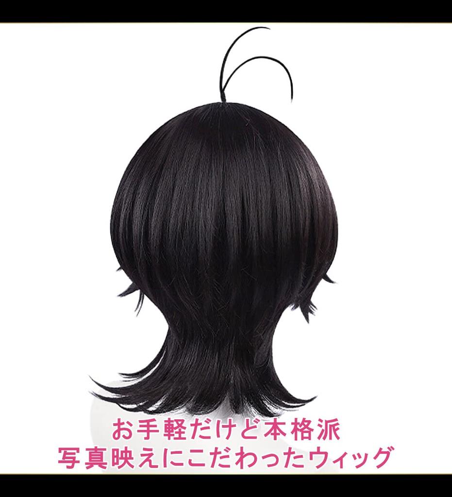 CaseEden Cosplay Paruka, Krátká, 35 cm, Ahoge, Tepelně odolná, Černé vlasy, Včetně 2 síťek na paruku