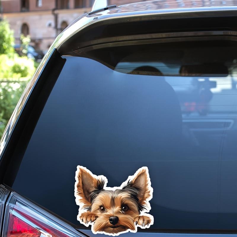 DK125# Yorkshire Terrier Car Stickers Scratch Covering Self-Adhesive Waterproof Decal Motorcycle Decorative Accessories