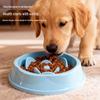 Anti-Choking Non-Slip Pet Feeding Bowl - Slow Feeder for Cats & Dogs