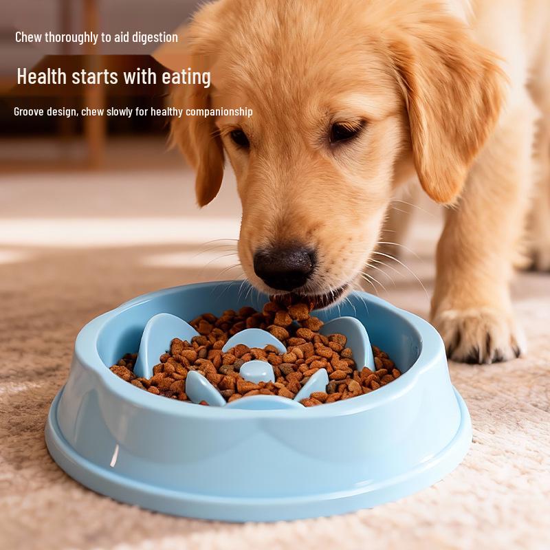 Anti-Choking Non-Slip Pet Feeding Bowl - Slow Feeder for Cats & Dogs