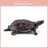 PVC-Wasserschildkröten-Sammlung für Hobbyisten und Naturfreunde mit genauen Merkmalen