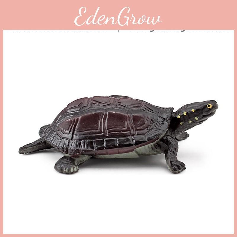 PVC-Wasserschildkröten-Sammlung für Hobbyisten und Naturfreunde mit genauen Merkmalen