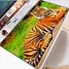 Accesorii pentru calculatoare – Mouse pad-uri și suporturi mână