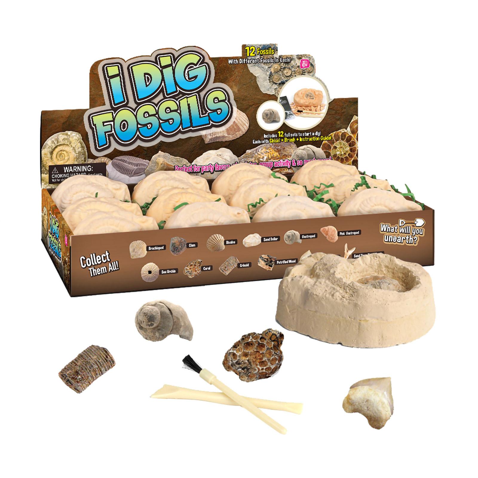 

(H0826)Детский игрушечный набор для археологических раскопок своими руками