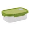 CHAHUA Divided Bento Box