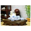 Miniature Teaware Set Model For Children And Collectors With Blue White Porcelain Teapot Cup Tray Doll House Furniture