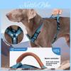 Dog Chest Harness Polyester Nopull Pet Leash For Training And Walking