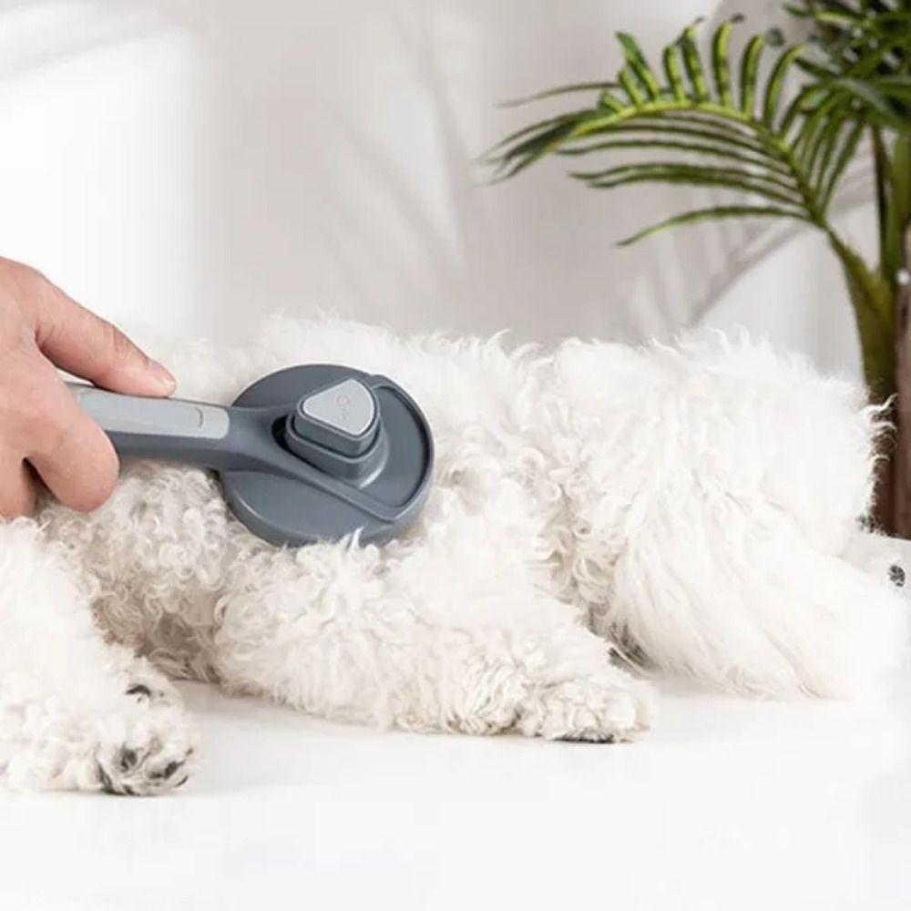 Edelstahl Katzenhaarentferner Schwimmendes Haarreinigung Haustierpflegebürste Schönheitsprodukte