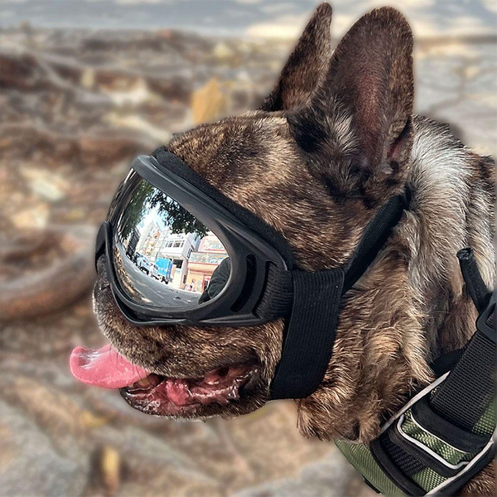 Plastic Pet Goggles Anti-UV Multicolor Pet Sunglasses Adjustable Sun Shading Dog UV Protection Glasses