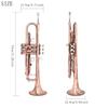 Bb Trumpet B Flat Brass body Trumpet Performance Beginners Pro Brass Musical Instrument with Straps Gloves Wipping Cloth Parts