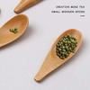 Pelsieur 5-Piece Mini Wooden Condiment Spoon with Short Handles for Coffee, Loose Tea, Milk Powder, Spices, and More