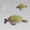 Simulation Animal Model Toy Turtle Doll Ornament Collection Static Animal Boutique Gift Gift