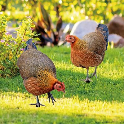 Realistické sochy kuřete,Akrylátové Kohouty Zvířátka Kolíky,Dekor soch zvířat,Kuřecí ozdoby na dvorek Art Dekor na dvorek 2ks