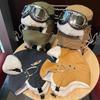 Winter Warm Cotton Blend Beanie With Ear Flaps Face Mask Goggle Compatible Skiing Cycling Outdoor