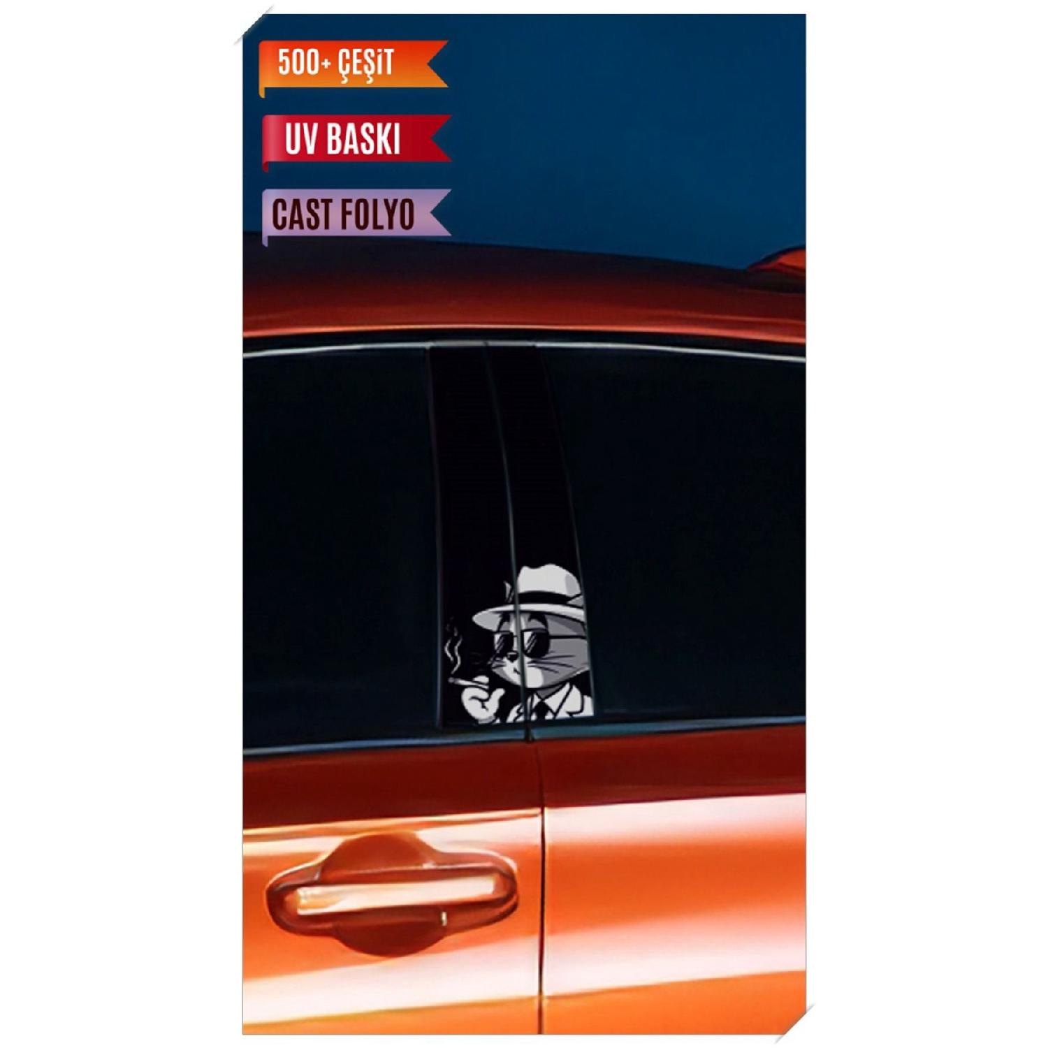

Vehicle Door Pillar Covering Foil Tom