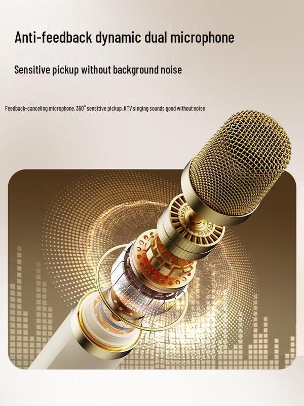 Philips TAS2519 KTV Bluetooth Speaker with Microphone CN Plug (adapter Included) (CN Version)