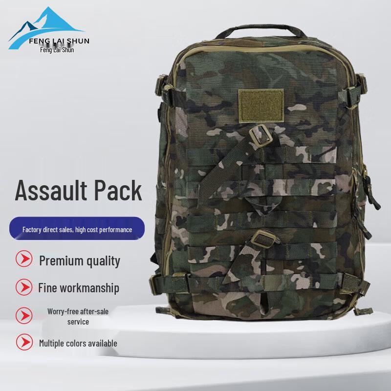 Tactical Camouflage Assault Backpack
