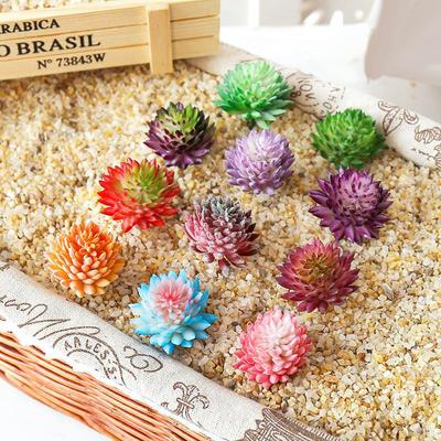 Artificial Plant Decor Potted Succulents Plant, Wedding